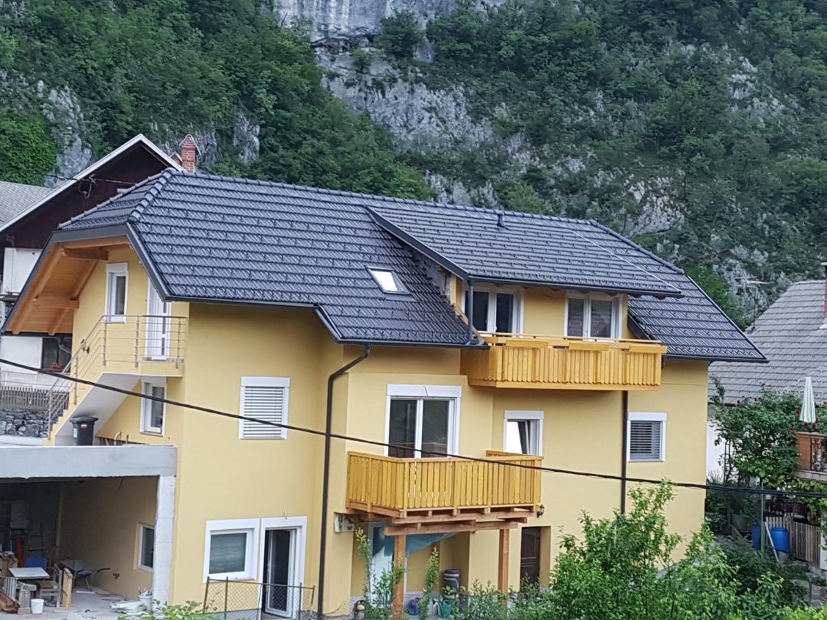 Apartmaji Zupan Bohinjska Bela Exteriör bild
