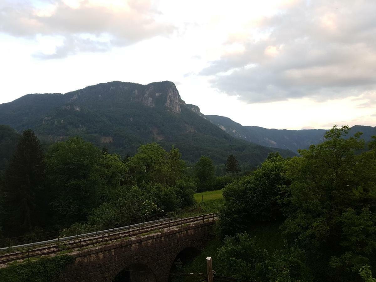 Apartmaji Zupan Bohinjska Bela Exteriör bild