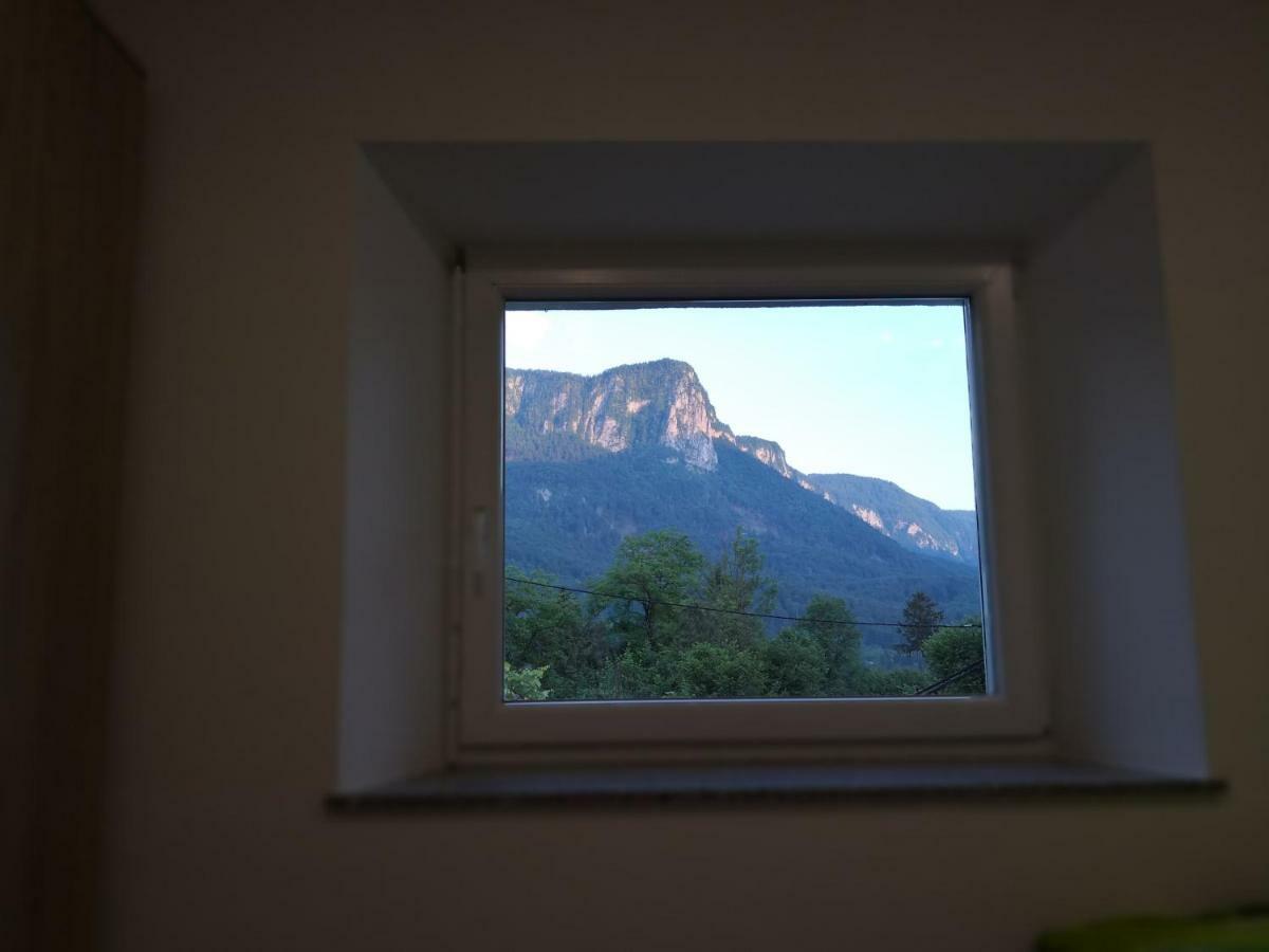 Apartmaji Zupan Bohinjska Bela Exteriör bild